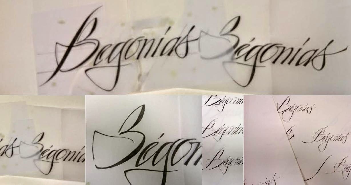 L Anglaise Copperplate Calligraphie Latine Enluminure Medievale