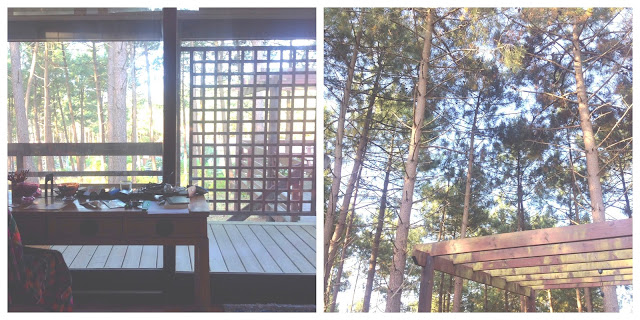 twodaysroadtrip,lacanau,gironde,foret de pins, landes,roadtrip,maison en bois,cabanes, beach shack,gypse living,gypse travel