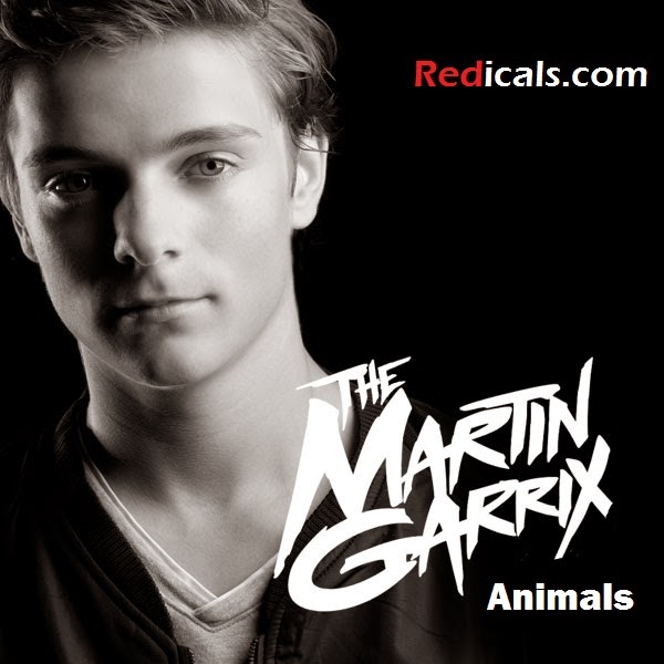 Download Proxy Martin Garrix Mp3 Free Download Tatoclub