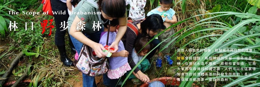 林 口 野 步 森 林