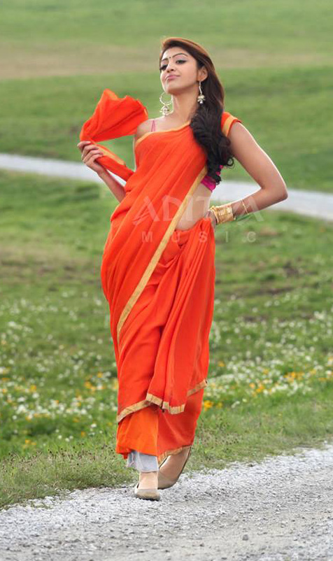 Pranitha+Latest+Hot+Navel+Photos+3.jpg