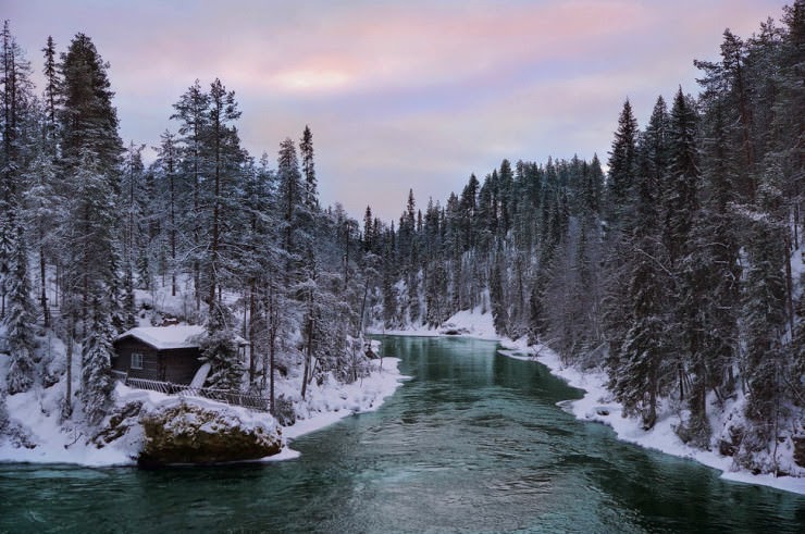 Go Skiing in Oulanka National Park in Finland Go Skiing in Oulanka National Park in Finland