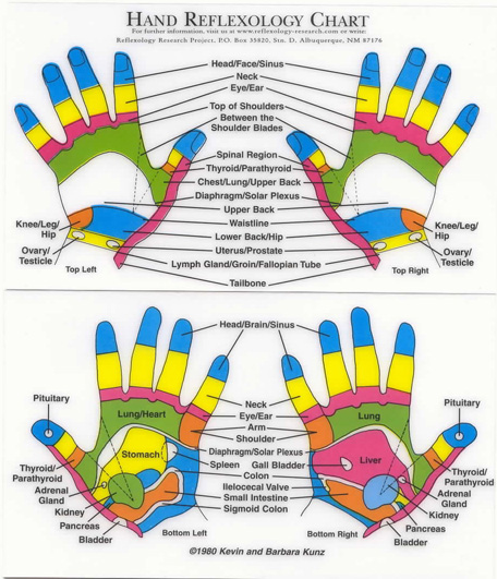 Reflexology Chart Right Foot