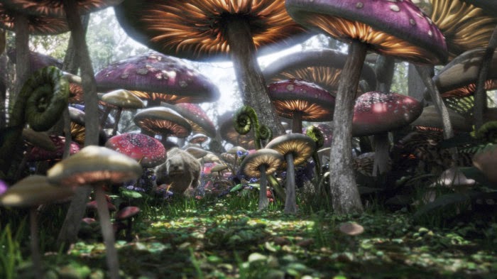 How I learned to stop worrying and love mushrooms