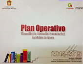 Plan Operativo DESySA 2014-2015