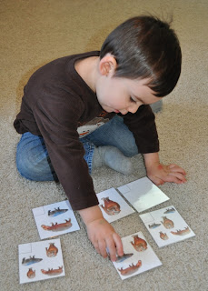 Memorizing the Moments: H for Hippo