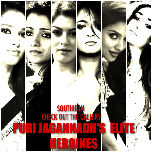 Puri Jagannadh's Elite list of Hot Heroines. From Anushka to Disha Patani, they are hot, mesmerising and Sensual. Puri Jagannadh, Loafer, heroine, Disha Patani, Ileana, Tamanna, ANushka Shetty, Asin, hansika, Trisha, Hot and Sensual heroines.