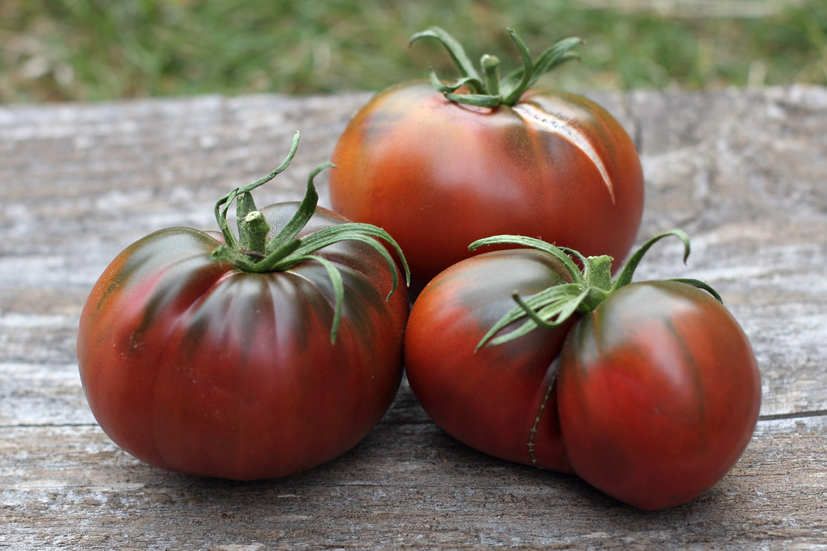 "We do it the Hard Way" The 2015 Tomato RoundUp