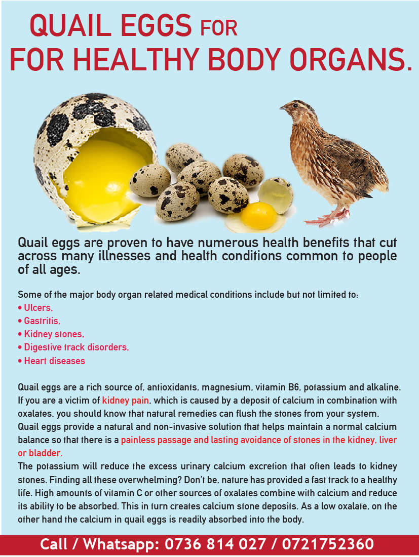 NairobiMail Quail Eggs FOR HEALTHY BODY ORGANS