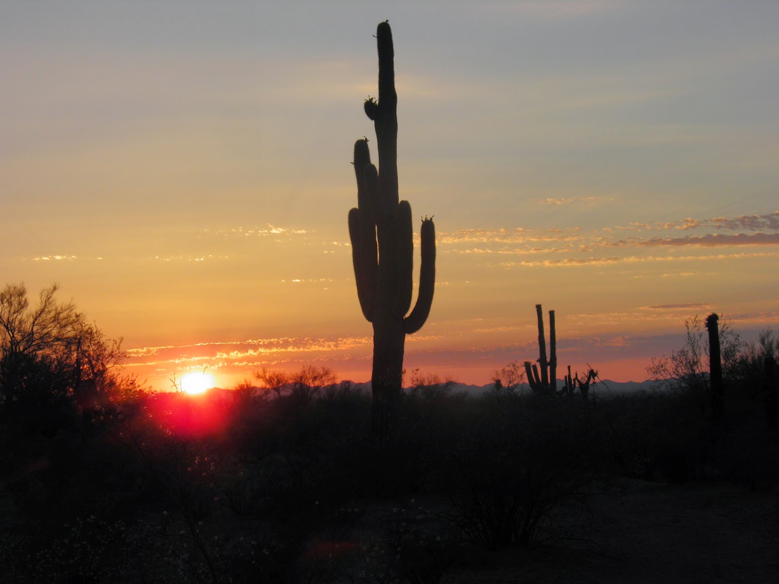 Stationery Styles Sweet Cactus