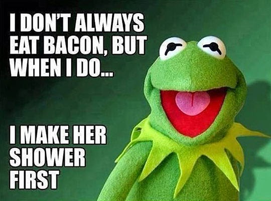 funny-Kermit-Frog-bacon-quote.jpg