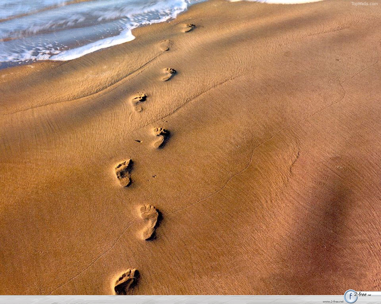 http://1.bp.blogspot.com/-7vJiVE_C9A0/TjRe2LyPCzI/AAAAAAAAADo/OdSllhf7IR0/s1600/footprints-in-sand1.jpg