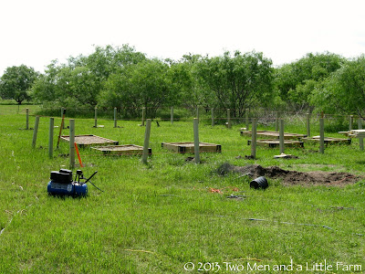 Two Men and a Little Farm: May 2013