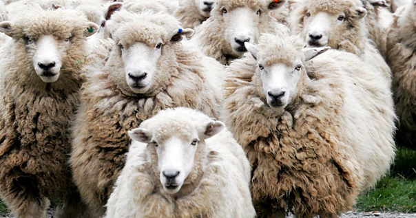 2014 kurban bayrami ne zaman 2014 kurban bayrami hangi gun basliyor ne zaman bitiyor bf legacy