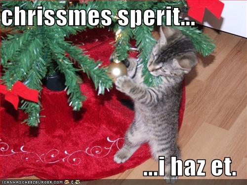 Funny Christmas Animal Funny Christmas Animal