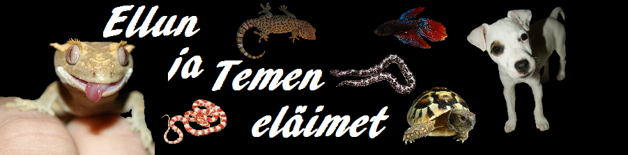 Ellun ja Temen eläimet