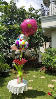  Balloon Flower