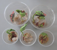 Nyla's Crafty Teaching: May 2012