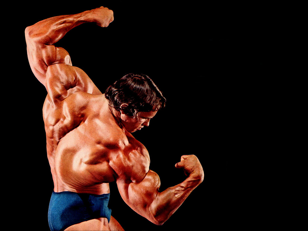 Bodybuilding Wallpaper Arnold Conquer