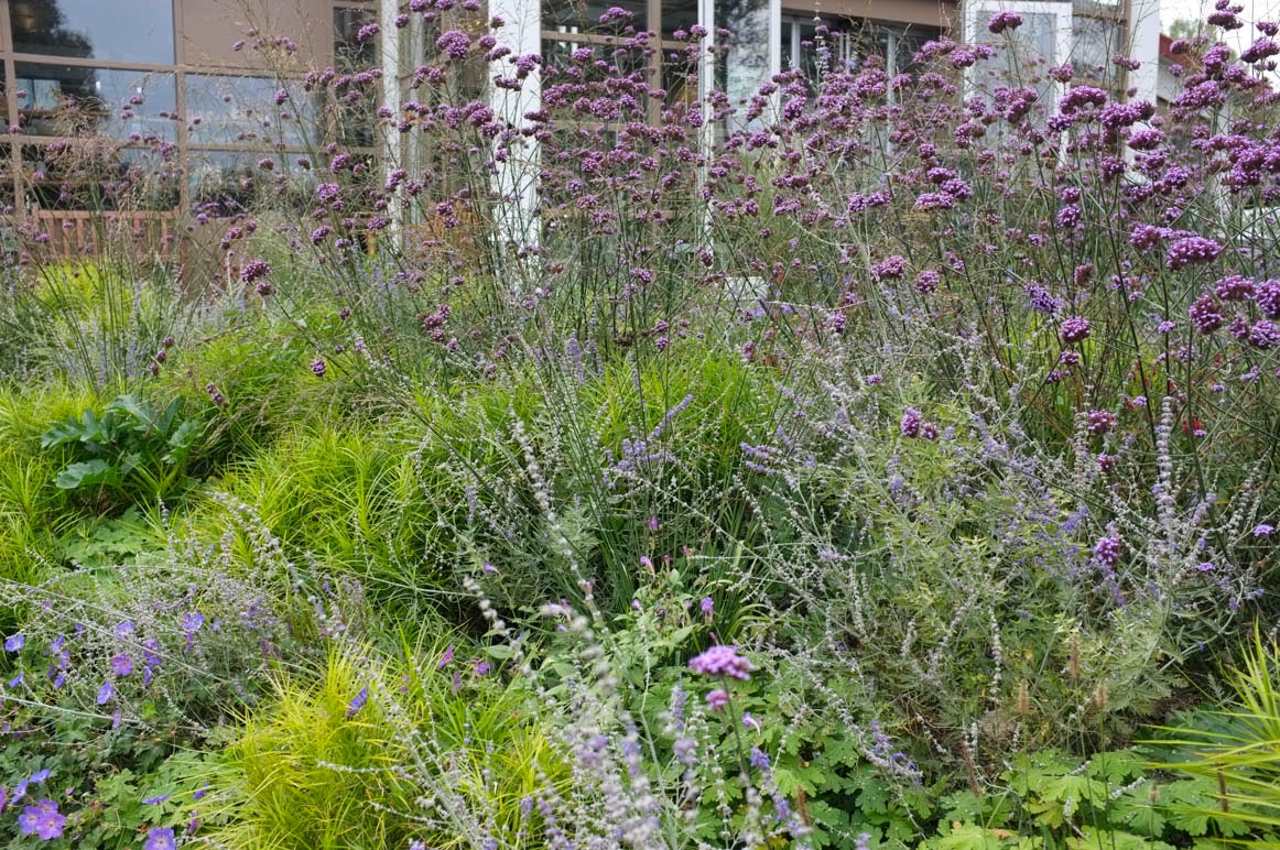 Kwekerij de kleine plantage: november 2014