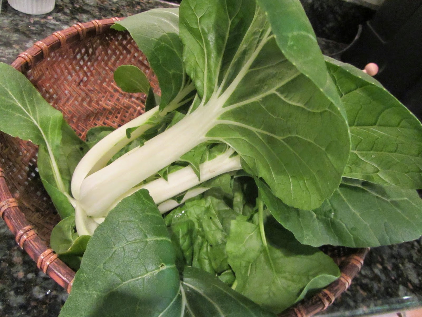 Birds, Blooms, Books, etc What to Do With Bok Choy?