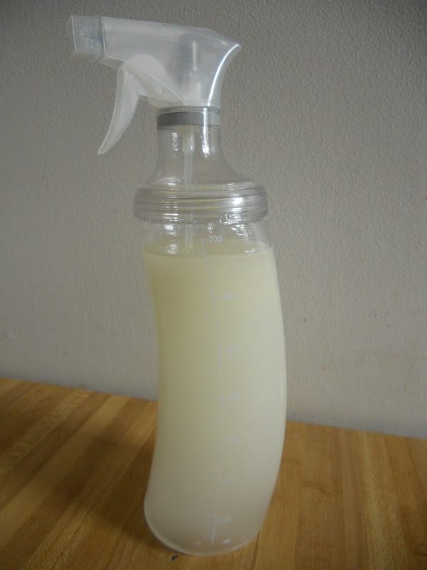 Ally's Sweet and Savory Eats DIY Sunday Making Your Own NonStick