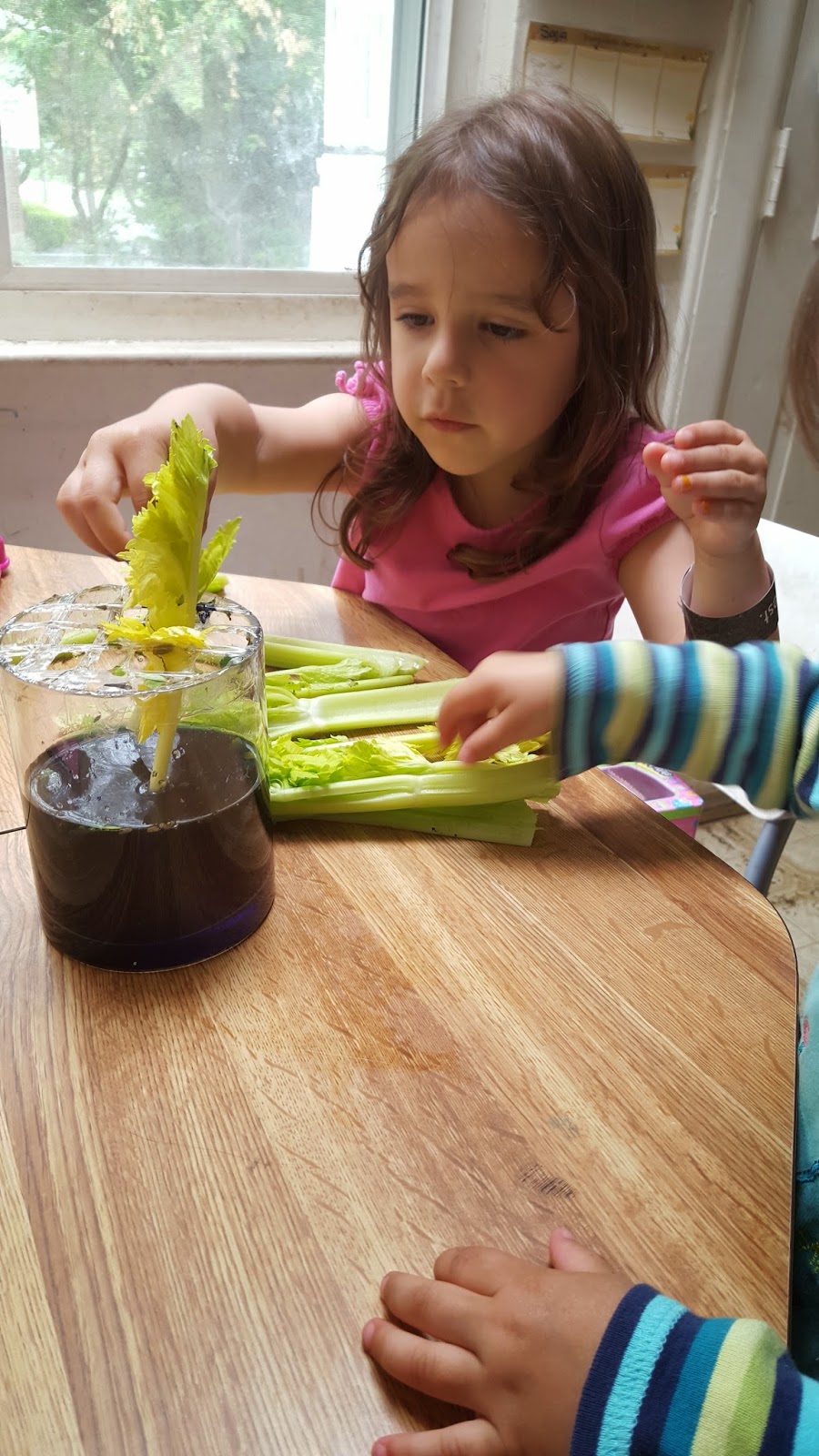 Chicken Nugget Mom Celery Magic!