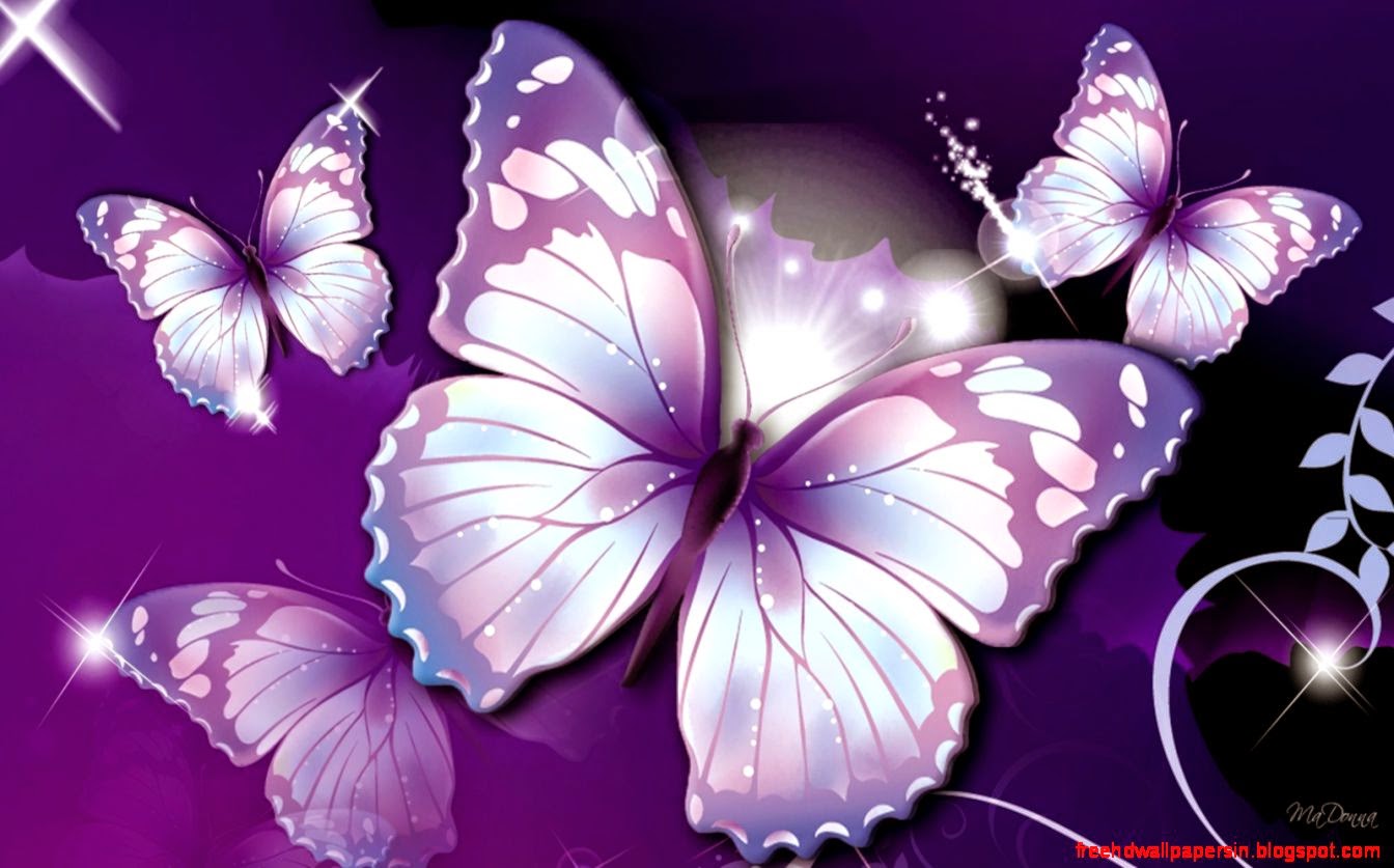 Full Butterflies Purple Popular HD Wallpapers HQ Backgrounds HD Full Butterflies Purple Popular HD Wallpapers HQ Backgrounds HD