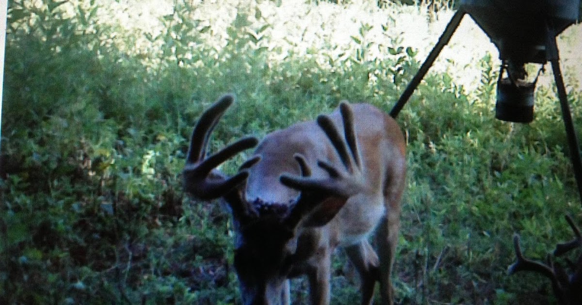 Rare Breed Whitetail Hunting Kentucky Bow Season.