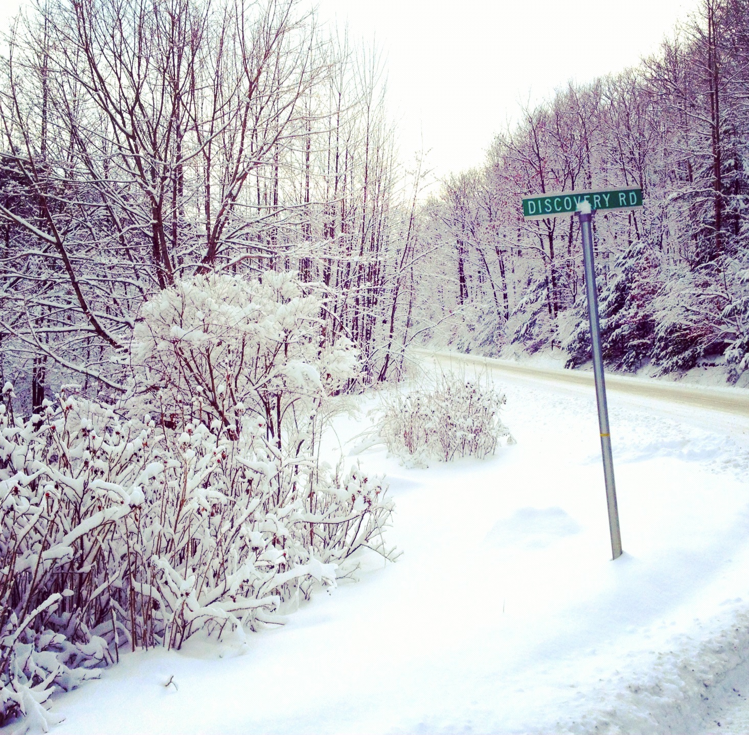 QuarDecor Snow Shots