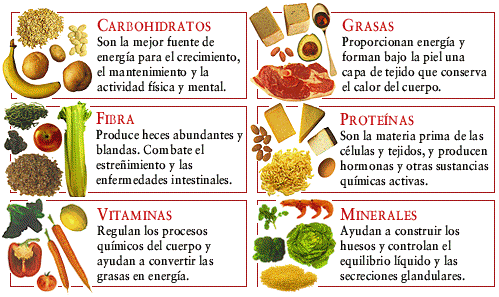 IMPORTANCIA Y FUNCION DE LA VITAMINA A importancia y funcion de la vitamina a: