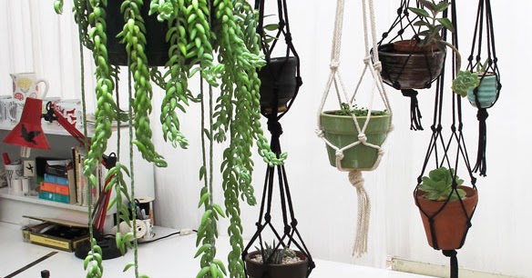 jokemijn: hanging garden
