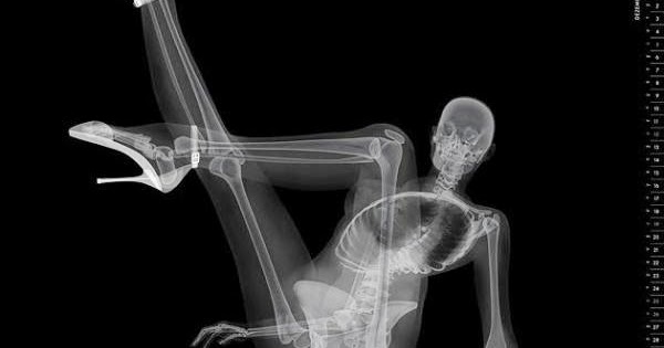 Art View (c): Radiology Imagery.