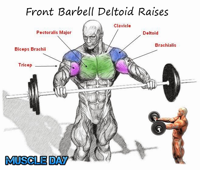 30 Minute Front Delt Workout for Build Muscle
