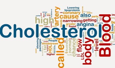 kolestrol kolestrol hdl, kolestrol ldl