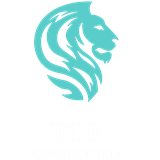 TDR CONSULTORIA