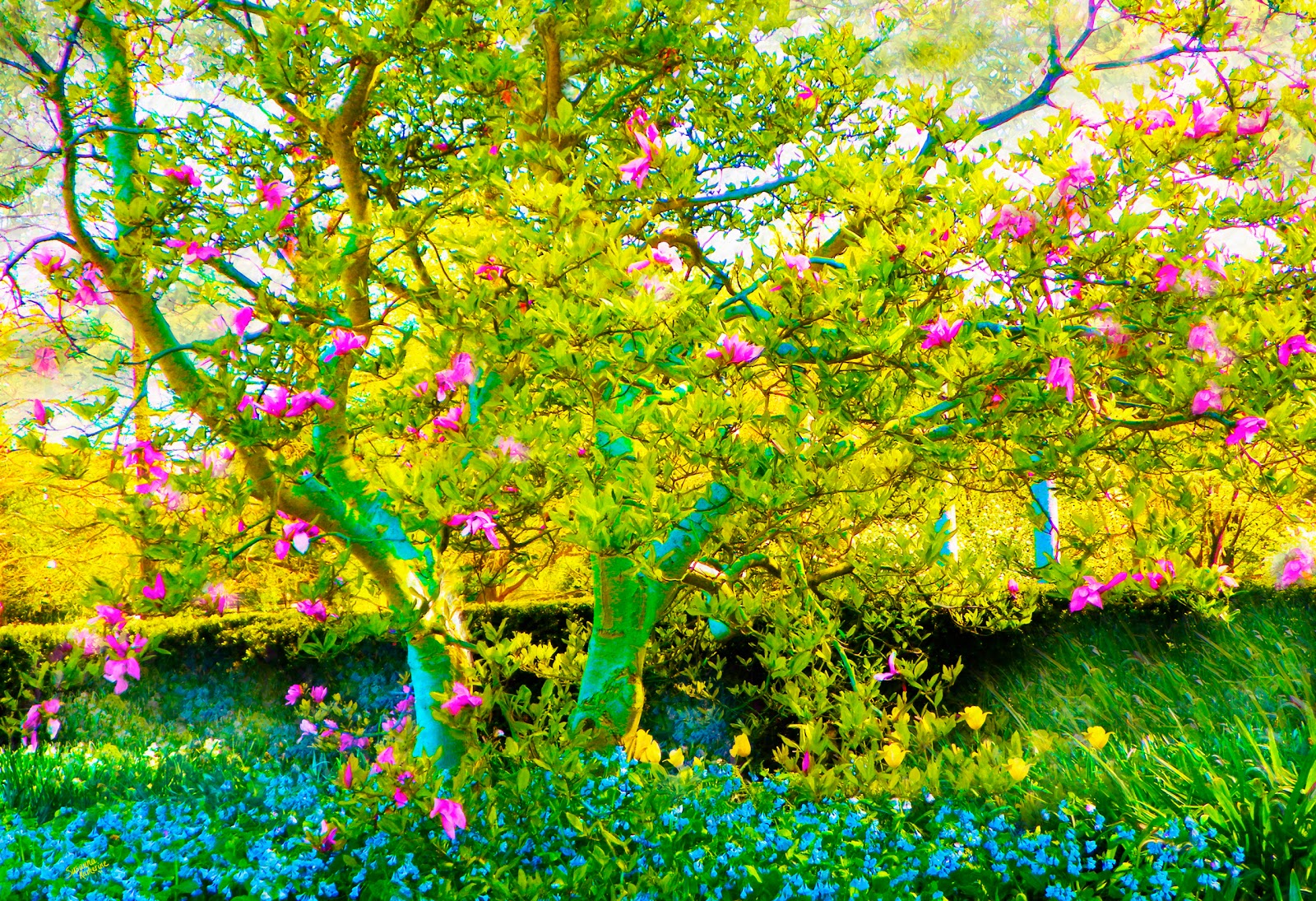 PaintingsofArtistsOriginalUnusual Art Painting Of Tree With