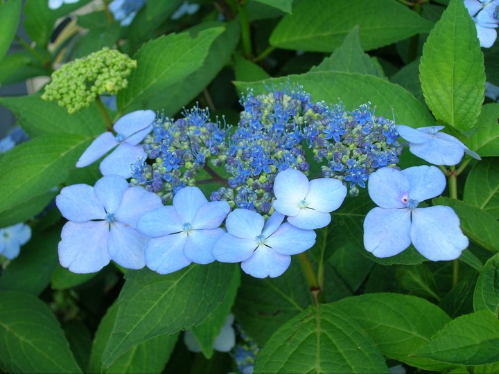 Our Adventures In Japan June 2019