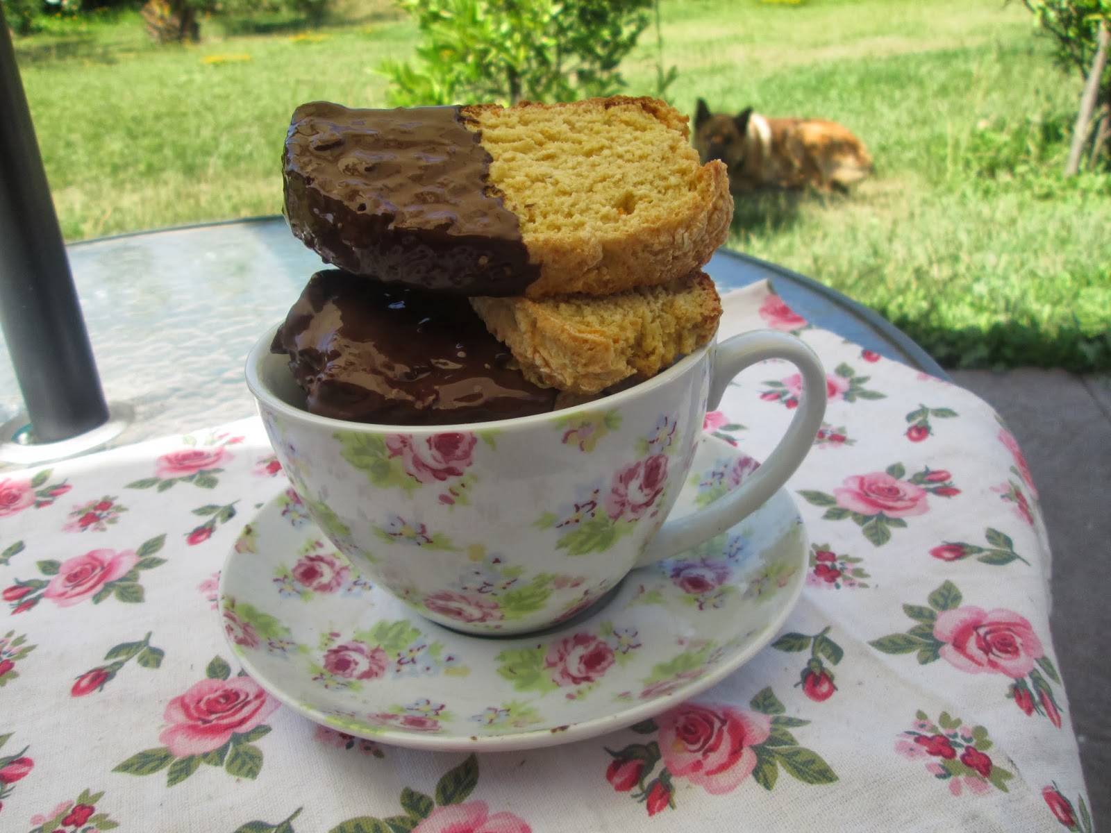 Canela kitchen (gloria) Giada de Laurentis chocolate citrus biscotti