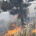 حريق كبيرجنوب نابلس ولازالت النيران تشتغل لليوم الخامس في اسرائيل