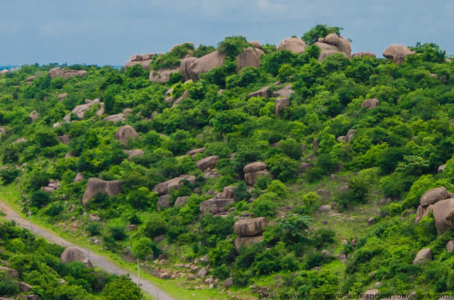 Green Hills near PBEL city after effects of monsoon