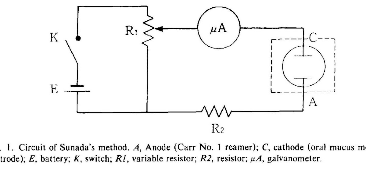 Endodontics Electronic Apex Locators