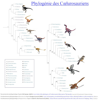 C%25C5%2593lurosauriens.jpg