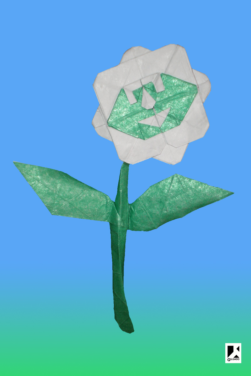 HOJA Y FLOR hoja y flor: