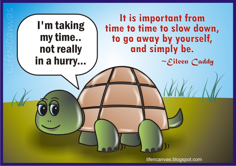 Slow Down Turtle