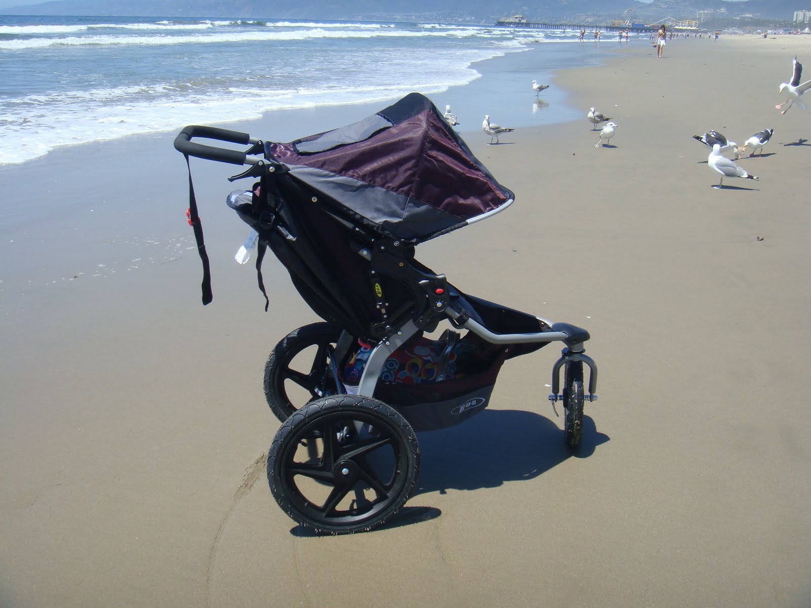 StrollerQueenReviews: BOB Revolution SE Review