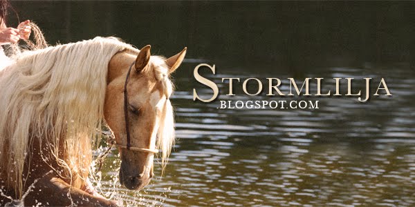 Stormlilja - Western Lifestyle