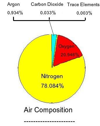 Belajar Scuba Diving Surabaya Udara Yang Digunakan Untuk Bernafas Ketika Diving