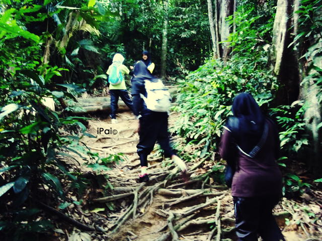 Ekspedisi Gunung Datuk Menjejaki Tapak Kaki Hang Tuah Reminiscence