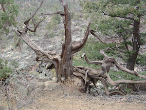 Wind and time form unique sights